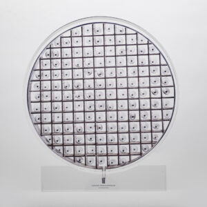 ΕΛΑΣΜΑΤΑ, 1976. Campo Pisani Βενετία & Εθνικός Κήπος (101)