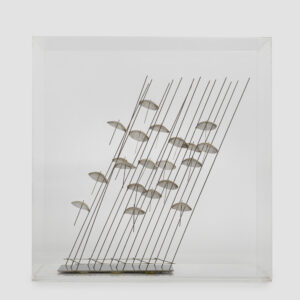 UMBRELLAS (SCL-07)