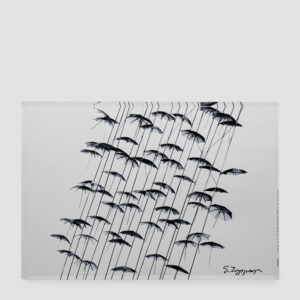 UMBRELLAS, 1995 (201S)