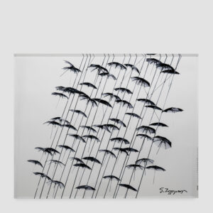 UMBRELLAS, 1995 (201L)